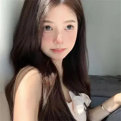 幸运狗狗来造访