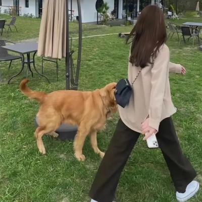 搜索兵